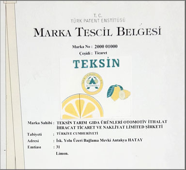 teksin