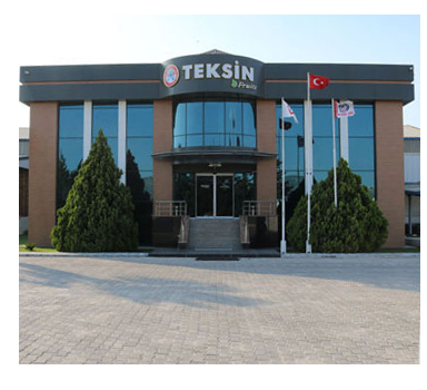 teksin